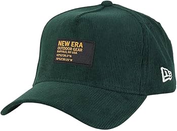 ヤングリーン 20カワサキ Ninja ZX-25Rスタイリング解説【250cc4気筒の復活を待て